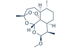 Selleck Chemical LLC Artemether 10mg 71963-77-4 SM-224, CGP 56696, Quantity: