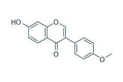 Selleck Chemical LLC Formononetin 10mg 485-72-3 Formononetol, Biochanin