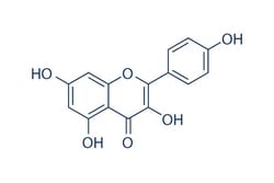 Selleck Chemical LLC Kaempferol 50mg 520-18-3 Robigenin, Quantity: Each