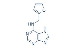 Selleck Chemical LLC Kinetin 100mg 525-79-1 6-Furfuryladenine