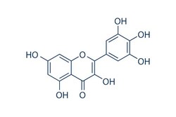 Selleck Chemical LLC Myricetin 100mg 529-44-2 Cannabiscetin, Quantity: