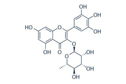 Selleck Chemical LLC Myricitrin 2mg 17912-87-7 Myricitrine, Quantity: Each