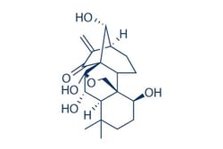 Selleck Chemical LLC Oridonin 10mg 28957-04-2 Isodonol, Rubescenin, NSC-250682,
