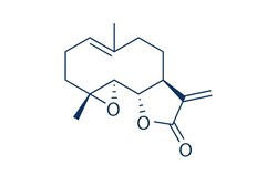 Selleck Chemical LLC (-)-Parthenolide 100mg 20554-84-1, Quantity: Each