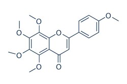 Selleck Chemical LLC Tangeretin 50mg 481-53-8 Tangeritin, Quantity: Each