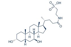 Selleck Chemical LLC Taxifolin (Dihydroquercetin) 200mg 480-18-2, Quantity: