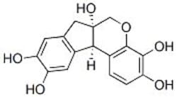 Selleck Chemical LLC Hematoxylin 25mg 517-28-2 Hydroxybrazilin, Quantity:
