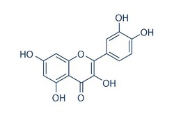 Selleck Chemical LLC Quercetin 100mg 117-39-5 Sophoretin, Quantity: Each