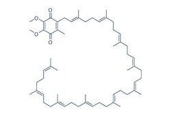 Selleck Chemical LLC Coenzyme Q10 (CoQ10) 200mg 303-98-0