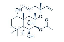 Selleck Chemical LLC Colforsin (Forskolin) 10mg 66575-29-9 Coleonol, Quantity: