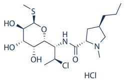 Selleck Chemical LLC&nbsp;Clindamycin HCl 50mg 21462-39-5