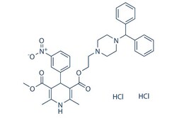 Selleck Chemical LLC Manidipine 2HCl 25mg 89226-75-5 CV-4093, Quantity: