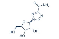 Selleck Chemical LLC Ribavirin 100mg 36791-04-5 NSC-163039, ICN-1229 ,RTCA,