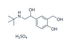 Selleck Chemical LLC Salbutamol Sulfate 250mg 51022-70-9 Albuterol, Quantity: