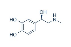 Selleck Chemical LLC L-Adrenaline 50mg 51-43-4 Epinephrine, Quantity: Each
