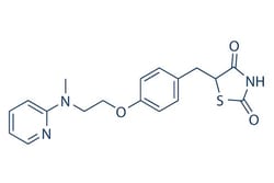 Selleck Chemical LLC Rosiglitazone 200mg 122320-73-4 BRL 49653, Quantity: