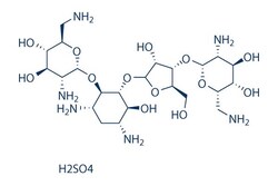 Selleck Chemical LLC Neomycin sulfate 50mg 1405-10-3, Quantity: Each of