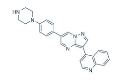 Selleck Chemical LLC LDN-193189 25mg 1062368-24-4 DM3189, Quantity: Each
