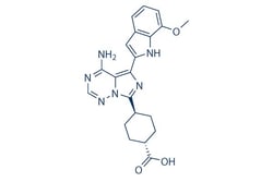 Selleck Chemical LLC OSI-027 5mg 936890-98-1 ASP4786, Quantity: Each of