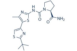 Selleck Chemical LLC A66 5mg 1166227-08-2, Quantity: Each of 1