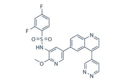 Selleck Chemical LLC Omipalisib (GSK2126458) 10mM/1mL 1086062-66-9 GSK458,