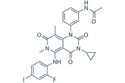 Selleck Chemical LLC Trametinib (GSK1120212) 10mg 871700-17-3 JTP-74057,