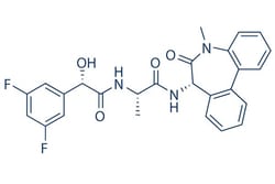 Selleck Chemical LLC LY411575 5mg 209984-57-6, Quantity: Each of 1