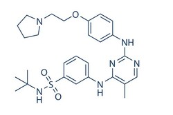 Selleck Chemical LLC Fedratinib (TG101348) 5mg 936091-26-8 SAR302503, Quantity: