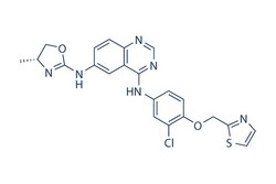 Selleck Chemical LLC Varlitinib 5mg 845272-21-1 ARRY334543, Quantity: Each