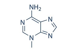 Selleck Chemical LLC 3-Methyladenine (3-MA) 50mg 5142-23-4 NSC 66389, Quantity: