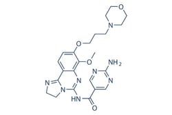 Selleck Chemical LLC Copanlisib (BAY 80-6946) 5mg 1032568-63-0, Quantity: