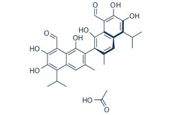 Selleck Chemical LLC (R)-(-)-Gossypol acetic acid 10mg 866541-93-7 AT-101