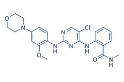 Selleck Chemical LLC TAE226 (NVP-TAE226) 5mg 761437-28-9, Quantity: Each