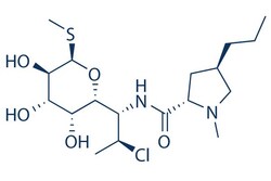 Selleck Chemical LLC Clindamycin 50mg 18323-44-9, Quantity: Each of 1