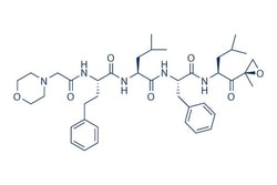 Selleck Chemical LLC Carfilzomib (PR-171) 5mg 868540-17-4, Quantity: Each