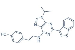 Selleck Chemical LLC StemRegenin 1 (SR1) 10mg 1227633-49-9, Quantity: Each