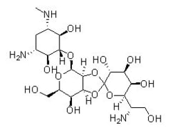 Selleck Chemical LLC Hygromycin B 250mg 31282-04-9, Quantity: Each of 1