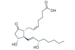 Selleck Chemical LLC Prostaglandin E2 (PGE2) 5mg 363-24-6 Dinoprostone,