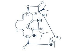 Selleck Chemical LLC Romidepsin (FK228, Depsipeptide) 5mg 128517-07-7 FR