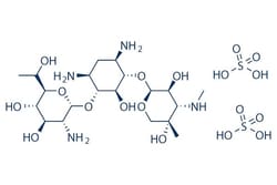 Selleck Chemical LLC Geneticin (G418 Sulfate) 1g 108321-42-2, Quantity: