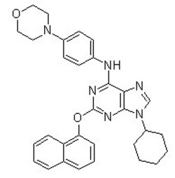 Selleck Chemical LLC Purmorphamine 5mg 483367-10-8, Quantity: Each of 1