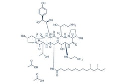 Selleck Chemical LLC Caspofungin Acetate 5mg 179463-17-3 MK-0991, Quantity: