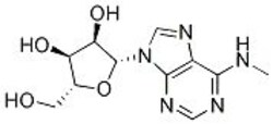Selleck Chemical LLC N6-methyladenosine (m6A) 50mg 1867-73-8 NSC-29409,