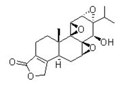 Selleck Chemical LLC Triptolide (PG490) 5mg 38748-32-2 NSC 163062, Quantity: