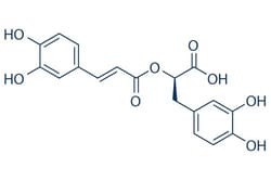 Selleck Chemical LLC Rosmarinic acid 25mg 20283-92-5 Rosemary acid, Quantity: