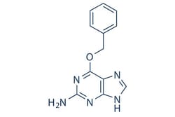 Selleck Chemical LLC O6-Benzylguanine 25mg 19916-73-5 O6-BG, Quantity: