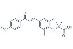 Selleck Chemical LLC Elafibranor S3720-5mg, Quantity: Each of 1