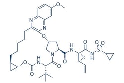 Selleck Chemical LLC Grazoprevir 2mg 1350514-68-9 MK5172, Quantity: Each