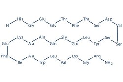 Selleck Chemical LLC Albiglutide Fragment 2mg 782500-75-8, Quantity: Each