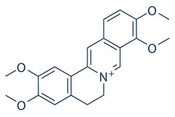 Selleck Chemical LLC Palmatine 25mg 3486-67-7 Berbericinine, Burasaine,